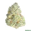 BADDIE STRAIN UK
