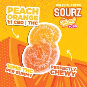PEACH ORANGE 1:1 CBD | THC
