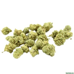 POPCORN STARDAWG UK