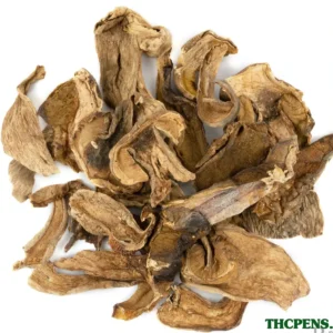 PORCINI DRIED MUSHROOM UK