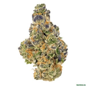PURPLE PUNCH STRAIN UK