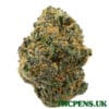 SUNSET ZKITTLEZ STRAIN UK
